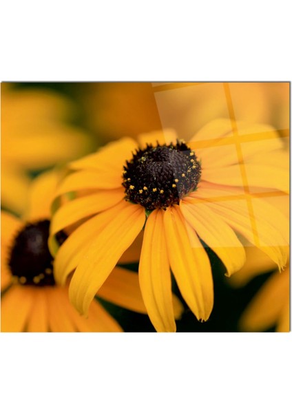 Cam Ocak Arkası Koruyucu Ankastre Arkası Koruyucu | Sarı Papatya fiyatları