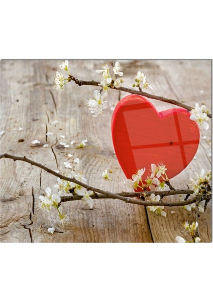 Cam Ocak Arkası Koruyucu Ankastre Arkası Koruyucu | Kalp fiyatları