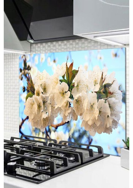 Cam Ocak Arkası Koruyucu Ankastre Arkası Koruyucu | Çikolata