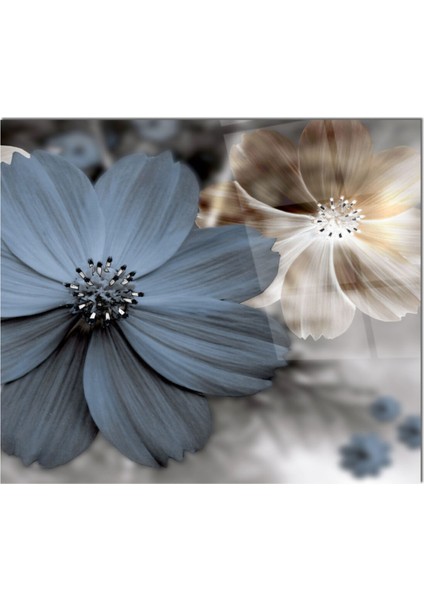 Cam Ocak Arkası Koruyucu Ankastre Arkası Koruyucu | Çiçek fiyatları