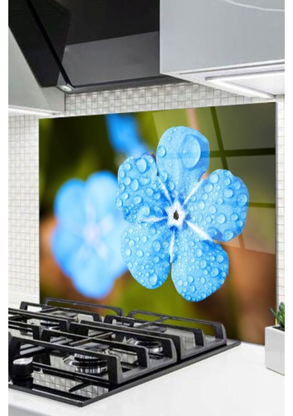 Cam Ocak Arkası Koruyucu Ankastre Arkası Koruyucu | Mavi Çiçek