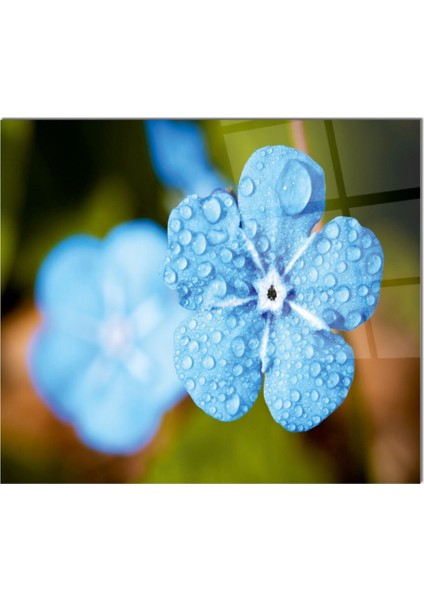 Cam Ocak Arkası Koruyucu Ankastre Arkası Koruyucu | Mavi Çiçek fiyatları