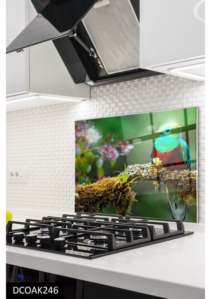 Cam Ocak Arkası Koruyucu | Kuş