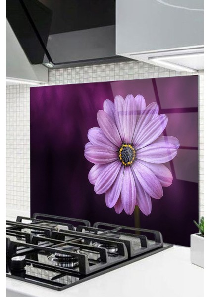 Cam Ocak Arkası Koruyucu Ankastre Arkası Koruyucu | Çiçek