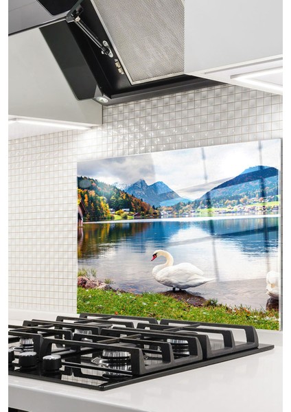 Cam Ocak Arkası Koruyucu Ankastre Arkası Koruyucu | Kuğu