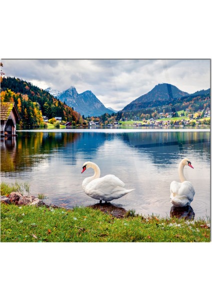 Cam Ocak Arkası Koruyucu Ankastre Arkası Koruyucu | Kuğu fiyatları