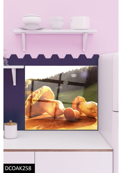 Cam Ocak Arkası Koruyucu | Mantar fiyatları