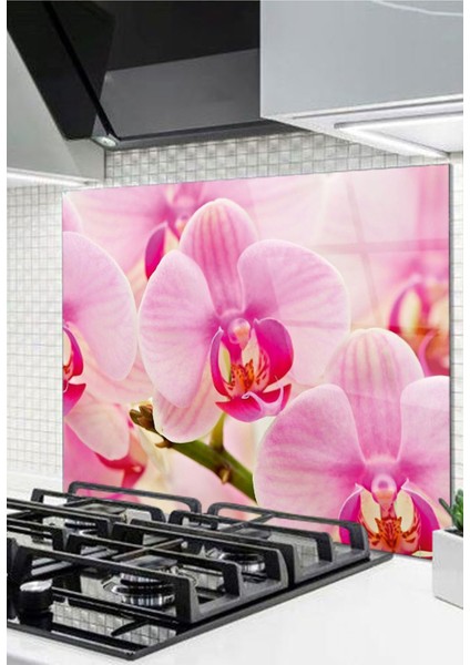 Cam Ocak Arkası Koruyucu Ankastre Arkası Koruyucu | Pembe Çiçek Orkide