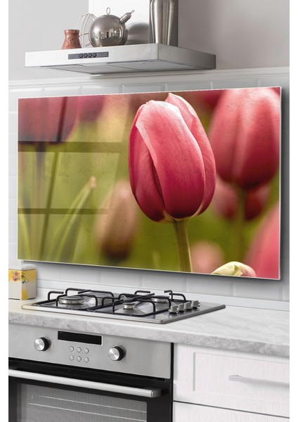 Ocak Arkası Cam Koruyucu Tezgah Ankastre Arkası Koruyucu | Lale Desenli