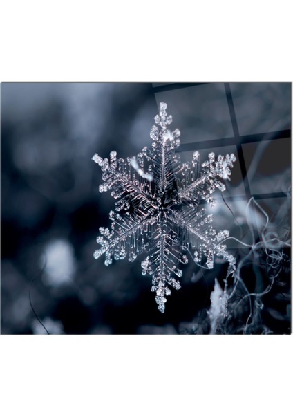 Ankastre Arkası Koruyucu 76 x 49,5 C M Cam Ocak Arkası Koruyucu| Kristal fiyatları