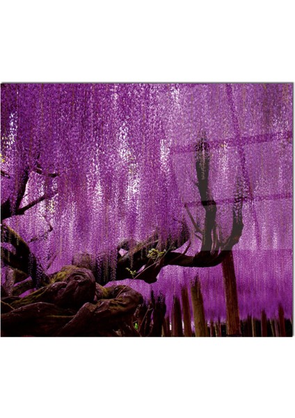 Cam Ocak Arkası Koruyucu Ankastre Arkası Koruyucu | Lila fiyatları