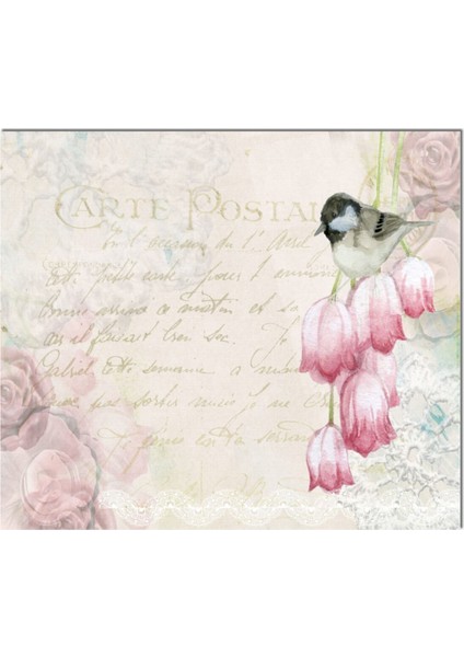 Cam Ocak Arkası Koruyucu Ankastre Arkası Koruyucu Kart Postal fiyatları