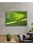 Yeşil Kelebek Green Butterfly 2