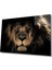 Aslan Cam Tablo 1