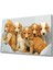 Kahverengi Köpekler 1