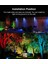 Renk Değiştiren LED Peyzaj Işıkları; Rf Uzaktan Kumandalı 10W Rgb Su Geçirmez Açık Ağaç Bahçe Tatil Aydınlatması; Abd Tak ile Aydınlatma (Yurt Dışından) 4