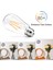 Vintage LED Edison Ampuller 6W, Eşdeğer 60W Akkor, Sıcak Beyaz 2700K, 80+ Crı'lı ST58 Antika LED Filament Ampuller, E26 Orta Taban, Kısılabilir, Şeffaf Cam, 6'lı Paket (Yurt Dışından) 5