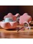 Yorgan,nevresim,battaniye SABITLEYICI(4ADET)-PEMBE 1
