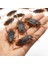 12 Adet 12 Adet Yapay Sahte Hamamböceği Cadılar Bayramı Sahne Komik Trick Şaka Oyuncakları Gerçekçi Roaches Bug Cadılar Bayramı Parodi Dekorasyon Hediye (Yurt Dışından) 1