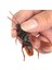 12 Adet 12 Adet Yapay Sahte Hamamböceği Cadılar Bayramı Sahne Komik Trick Şaka Oyuncakları Gerçekçi Roaches Bug Cadılar Bayramı Parodi Dekorasyon Hediye (Yurt Dışından) 5