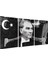 Atatürk Triple Cam Tablo 2