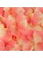 Durk Pembe 500 Adet 500/1000/3000 Adet Yapay Ipek Gül Yaprakları Düğün Parti Dekorasyon Romantik Gül Çiçek Yaprağı Düğün Aksesuarları 5*5 cm 50% (Yurt Dışından) 5