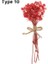 Tip 10 Mini Babysbreath Doğal Taze Kurutulmuş Korunmuş Çiçekler Küçük Doğal Kurutulmuş Çiçekler Buket Basın Dekoratif Fotoğraf Arka Fonu Dekor (Yurt Dışından) 1
