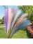 Pembe 90 cm 1 Pc Yapay Pampas Çim Sahte Sazlık Dekor Vazo Dolgular Sonsuz Çiçek Dekor Centerpieces Düğün Kemer Çiçek Sahte Bitkiler (Yurt Dışından) 2