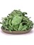 Guangxijinhua 100G 50G/100G Kuru Gül Tomurcuk Doğal Kurutulmuş Çiçekler Organik Yasemin Çiçeği Meyve Mutfak Dekoru Düğün Parti Dekorasyon Hava Ferahlatıcı (Yurt Dışından) 1