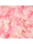 Açık Pembe 1000 Adet Yapay Gül Yaprakları Düğün Aksesuarları Düğün Parti Dekorasyon Çiçek Yaprağı Simülasyon Ipek Kumaş Gül Yaprakları 5*5 cm 50% (Yurt Dışından) 3