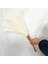 Bej 55 cm 30 Adet 55 cm Sahte Pampas Çim Yapay Görkemli Çim Vazo Dolgu Çiçek Ev, Oturma Odası, Mutfak, Düğün, Boho Dekor Için (Yurt Dışından) 1
