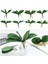Stil 7 1pc Simülasyon Yapraklar Phalaenopsis Yaprak Yapay Bitkiler Plastik Çim Çiçekleri Orkide Yaprakları Düğün Festivali Bahar Ev Dekor (Yurt Dışından) 2