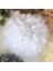 Beyaz 6 Inç 15 cm 5 Adet 4 6 8 10 12 Inç Doku Kağıt Pom Pom Poms Düğün Partisi Kağıt Ponpon Çiçek Düğün Dekorasyon Için Ponponlar Doğum Günü Bebek (Yurt Dışından) 1