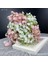 Kırmızı Sunmade Canlı 6 Adet/paket Babysbreath Plastik Yapay Çiçekler Ev Bahçe Dekorasyon Çiçek Aranjmanı Malzemeleri Sahte Bitkiler (Yurt Dışından) 2