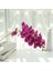 Pembe Orkide 52 cm Büyük 3D 11/7 Kafaları Pvc Yapay Çiçek Orkide Phalaenopsis Saksı Bitkileri Peyzaj Düğün Çiçek Aranjmanı Ev Dekor (Yurt Dışından) 5