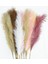 70 cm V02 5 Adet Sahte Pampas Çim Büyük 120/100/85 cm Çiçek Buketi Sahte Yapay Pampas Çim Dekor Uzun Kabarık Oturma Odası Dekor Kaynaklanıyor (Yurt Dışından) 3