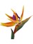 Turuncu Yükseklik 80 cm Yapay Çiçek Cennet Kuşu Düzenleme Sahte Bitki Parti Ipek Strelitzia Reginae Ev Düğün Çiçek Masa Dekor Sahne (Yurt Dışından) 1