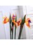 Turuncu Yükseklik 80 cm Yapay Çiçek Cennet Kuşu Düzenleme Sahte Bitki Parti Ipek Strelitzia Reginae Ev Düğün Çiçek Masa Dekor Sahne (Yurt Dışından) 2