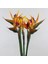 Turuncu Yükseklik 80 cm Yapay Çiçek Cennet Kuşu Düzenleme Sahte Bitki Parti Ipek Strelitzia Reginae Ev Düğün Çiçek Masa Dekor Sahne (Yurt Dışından) 5
