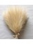 Sarı 42 cm 10 Adet Sahte Pampas Çim Bej 10 Adet, Vazo Için Küçük Yapay Pompas Çim Dekor, Ev Düğün Boho Dekor Için Sahte Kabarık Pampas Çiçek (Yurt Dışından) 1