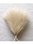 Sarı 42 cm 10 Adet Sahte Pampas Çim Bej 10 Adet, Vazo Için Küçük Yapay Pompas Çim Dekor, Ev Düğün Boho Dekor Için Sahte Kabarık Pampas Çiçek (Yurt Dışından) 3