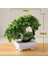 Gül Tarzı Yenı Yapay Bitkiler Bonsai Küçük Ağaç Saksı Bitkileri Ev Dekorasyon Otel Bahçe Dekor Için Sahte Çiçekler Saksı Süsler (Yurt Dışından) 4
