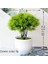 Xiao Şarkı Bai Saksı ile Greenplants Yeni Yeşil Yapay Bitkiler Bonsai Küçük Ağaç Çim Çiçek Saksı Bonsai Cadılar Bayramı Düğün Noel Partisi Ev Ofis Dekoru (Yurt Dışından) 1