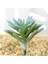 Stil 12 Yeşil Akın Yapay Succulents Bitkiler Ev Bahçe Dekorasyon Çiçek Aranjmanı Banyo Aksesuarları Planta Yapay (Yurt Dışından) 1