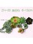 Fr Xiao Lan Cao Yapay Succulents Bitkiler Ev Bahçe Yatak Odası Oturma Odası Ofis Dekorasyon Aksesuarları Sahte Bitkiler Masaüstü Mini Küçük Bonsai (Yurt Dışından) 3