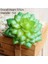 Yeşil Guanyinlian Yeşil Yapay Succulents Bitkiler Ev Bahçe Yatak Odası Balkon Masaüstü Masa Mini Bonsai Düğün Parti Dekorasyon Sahte Bitkiler (Yurt Dışından) 1