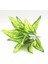 4 Brezilya Sarı Suni Çim Yeşil Begonia Bitkiler Ev Dekorasyonu Için, Plantas Artificiales Para Decoracion Bonsai Için Sahte Plastik Bitkiler (Yurt Dışından) 1