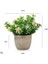13 Mini Yapay Çiçekler Bitkiler Bonsai Masa Süsü Küçük Simüle Ağaç Saksı Bitkileri Sahte Çiçekler Ofis Masası Saksı Süs Ev (Yurt Dışından) 2