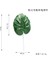 Tedajuanbu Monstera Yapay Tropikal Monstera Kwai Palmiye Ağacı Yaprakları Ev Bahçe Dekorasyonu Sahte Bitkiler Fotoğraf Arka Plan Plante Artificielle (Yurt Dışından) 1