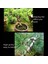 Siyah Çapı 1mm 5 M/rulo Bonsai Saksısı Dekorasyon Telleri Anodize Alüminyum Bonsai Eğitim Tel Çiçeklik Bahçe Pot Alüminyum Tel Dıy Alüminyum Tel (Yurt Dışından) 4